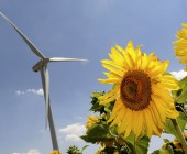 La reforma energética debe ser favorable a las renovables y al autoconsumo