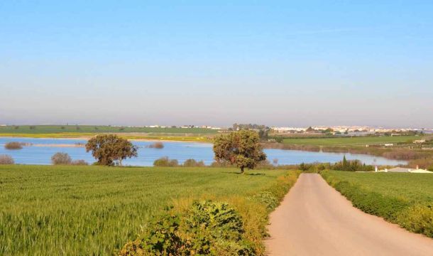 Grupo de Desarrollo Rural del Bajo Guadalquivir