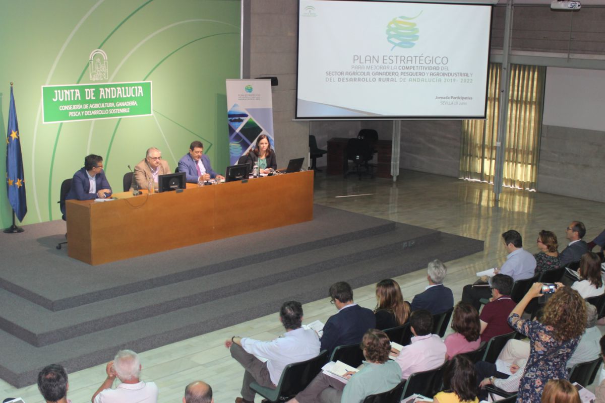 Agricultura avanza de la mano del sector andaluz en la elaboración del Plan Estratégico para mejorar la competitividad