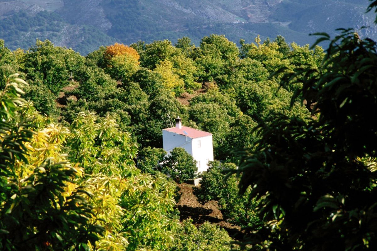Andalucía es la comunidad autónoma de España con más Reservas de la Biosfera