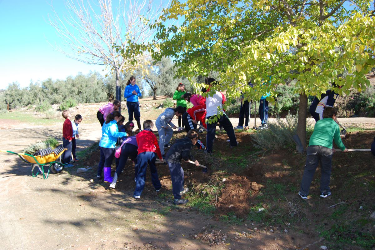 50 kilómetros en bus para ir y volver del colegio por el cierre de aulas rurales en Andalucía