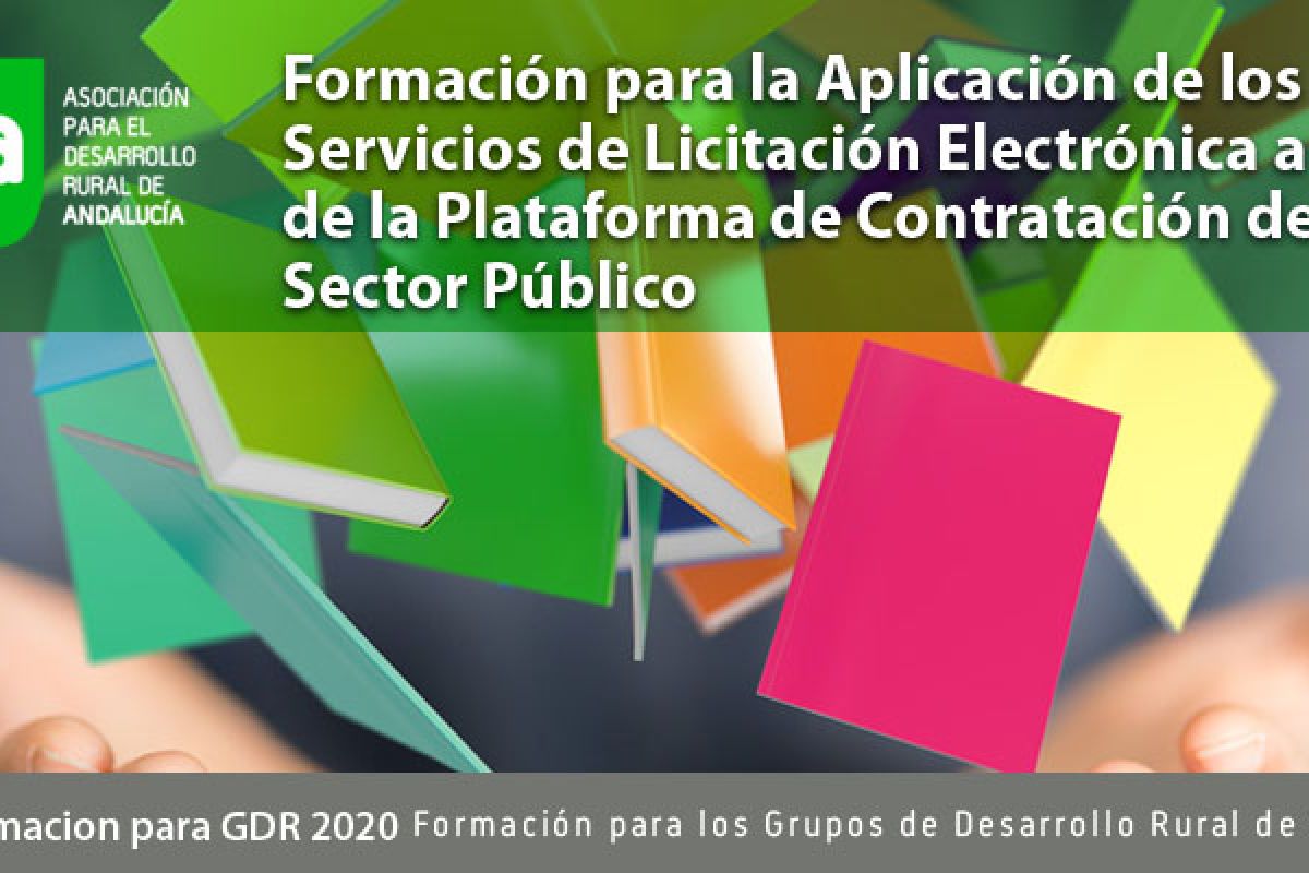 Curso para la Aplicación de los Servicios de Licitación electrónica a través de la Plataforma de Contratación del sector público