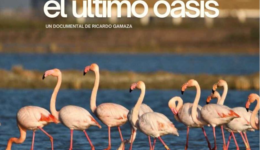 “El último oasis”, documental de Ícara apoyado por el LEADER del GDR Aljarafe-Doñana