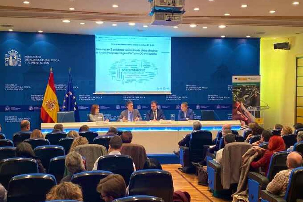 Ponencias de la jornada de debate sobre la situación de los trabajos de elaboración del Plan Estratégico Nacional de la PAC 2021-2027