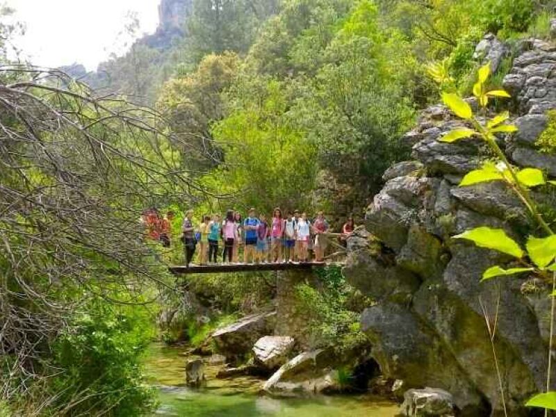 Paz Garrido, emprendedora: “Los niños y la sociedad, en general tienen un gran déficit de naturaleza”