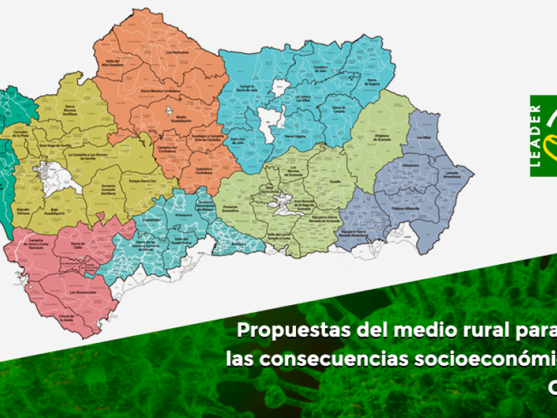 Propuestas LEADER para atenuar las consecuencias socioeconómicas de la COVID-19 en el medio rural