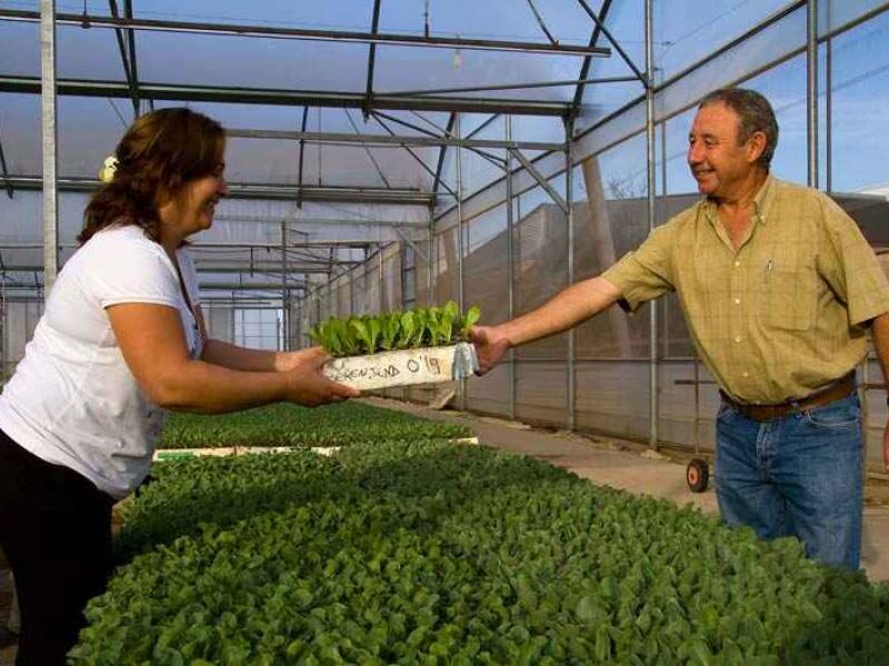 Valle del Guadalhorce y Campiña Sur Cordobesa presentan sus avances para impulsar los biodistritos