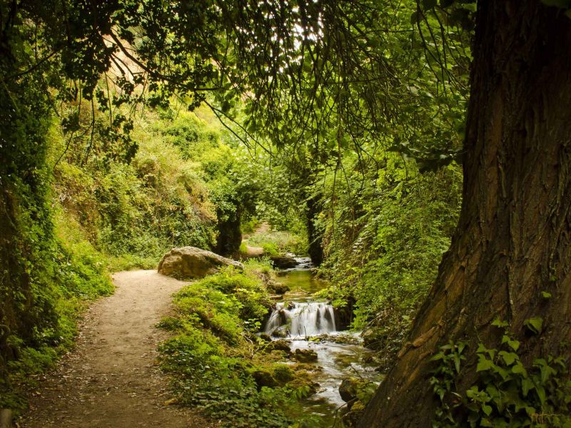 El mundo rural es necesario para cumplir con la Agenda 2020-2030