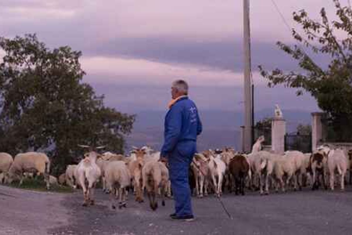 El medio rural condena rotundamente a la jueza que ha quitado la custodia de un hijo a su madre por vivir en la “Galicia profunda”