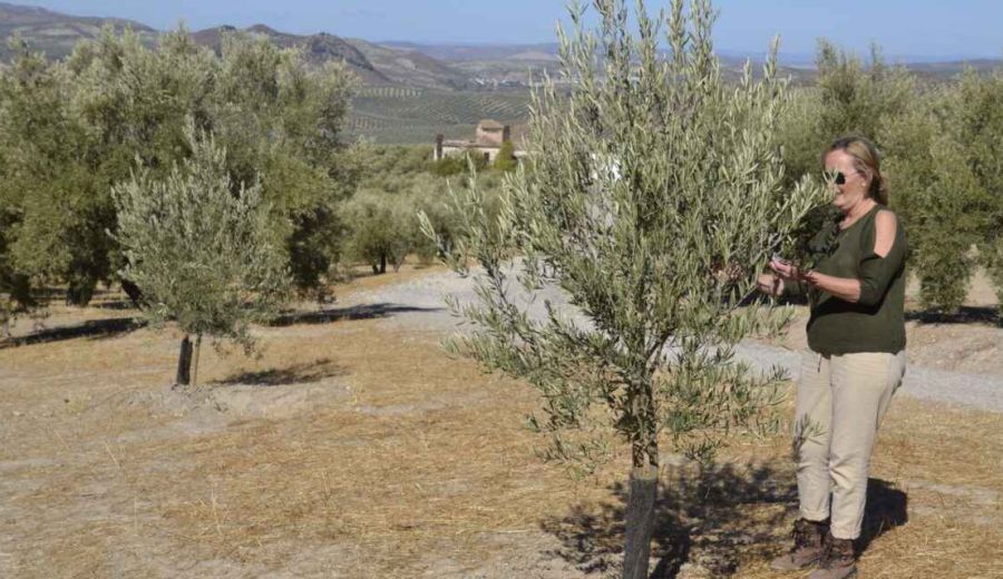 Oleoempodera: igualdad en las cooperativas agrícolas de la Sierra Sur de Jaén