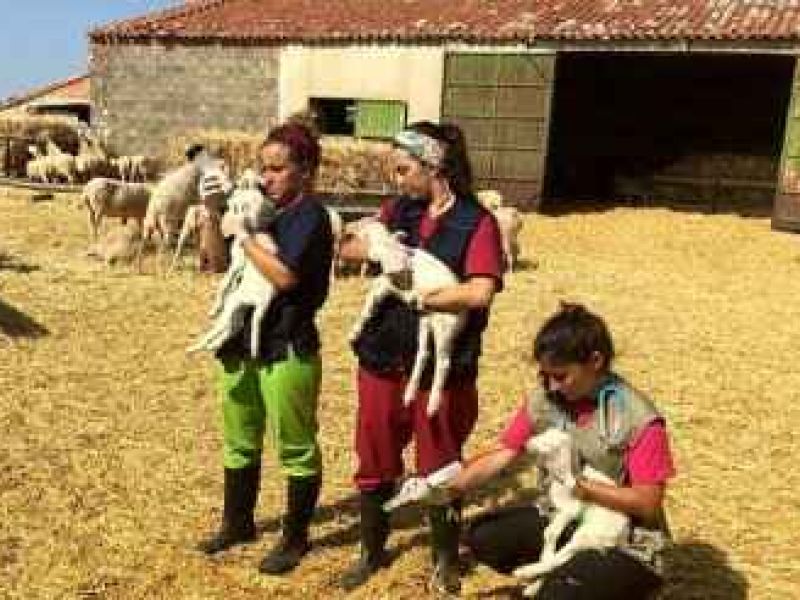 La Diputación y Universidad de Zaragoza ponen en marcha la segunda edición de  Desafío, su programa de prácticas en el medio rural zamorano