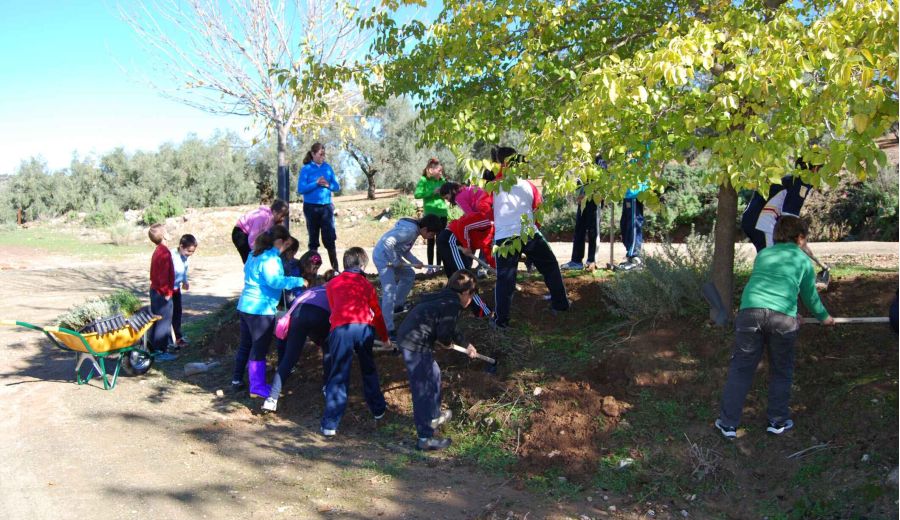50 kilómetros en bus para ir y volver del colegio por el cierre de aulas rurales en Andalucía