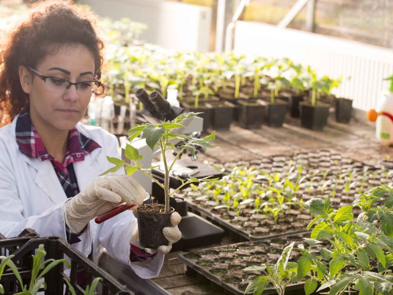 Cooperativas Agroalimentarias promueve la titularidad compartida en Andalucía