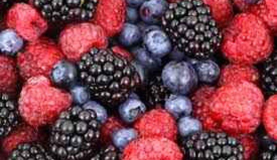 La sociedad dará la espalda de nuevo a la cadena alimentaria, me temo