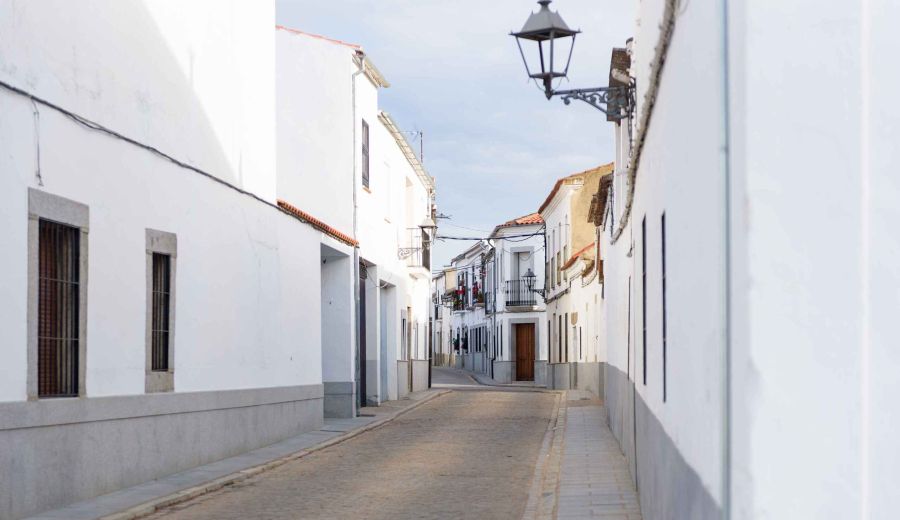 Los Pedroches organiza unas jornadas sobre nuevas tendencias agrícolas en la comarca  