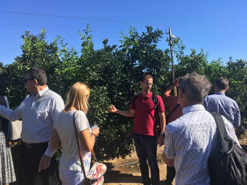 Regions4Food  se interesa por “Smart AG Services” que lidera el GDR Campiña y Alcores de Sevilla