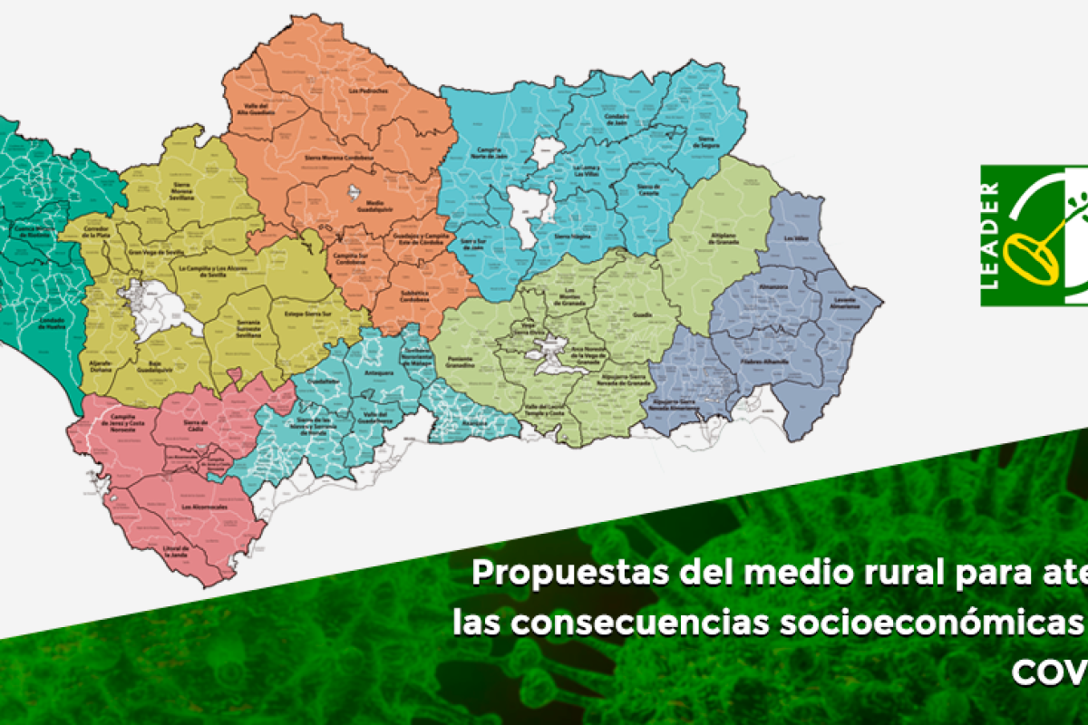 Propuestas LEADER para atenuar las consecuencias socioeconómicas de la COVID-19 en el medio rural