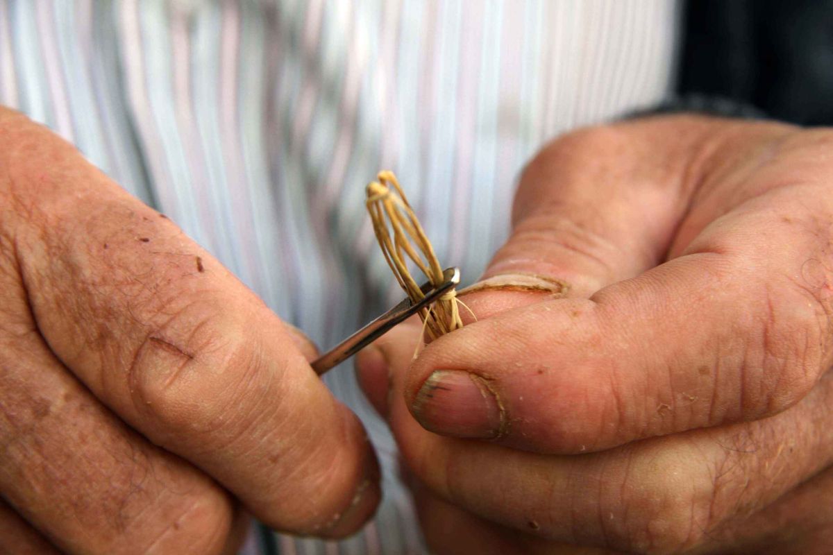 Jornadas informativas para la creación y desarrollo de productos a partir de la fibra natural de esparto y cáñamo