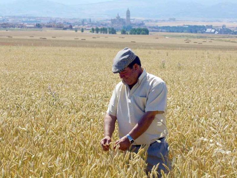 La Comisión propone ayudas temporales a los agricultores por los efectos del COVID-19