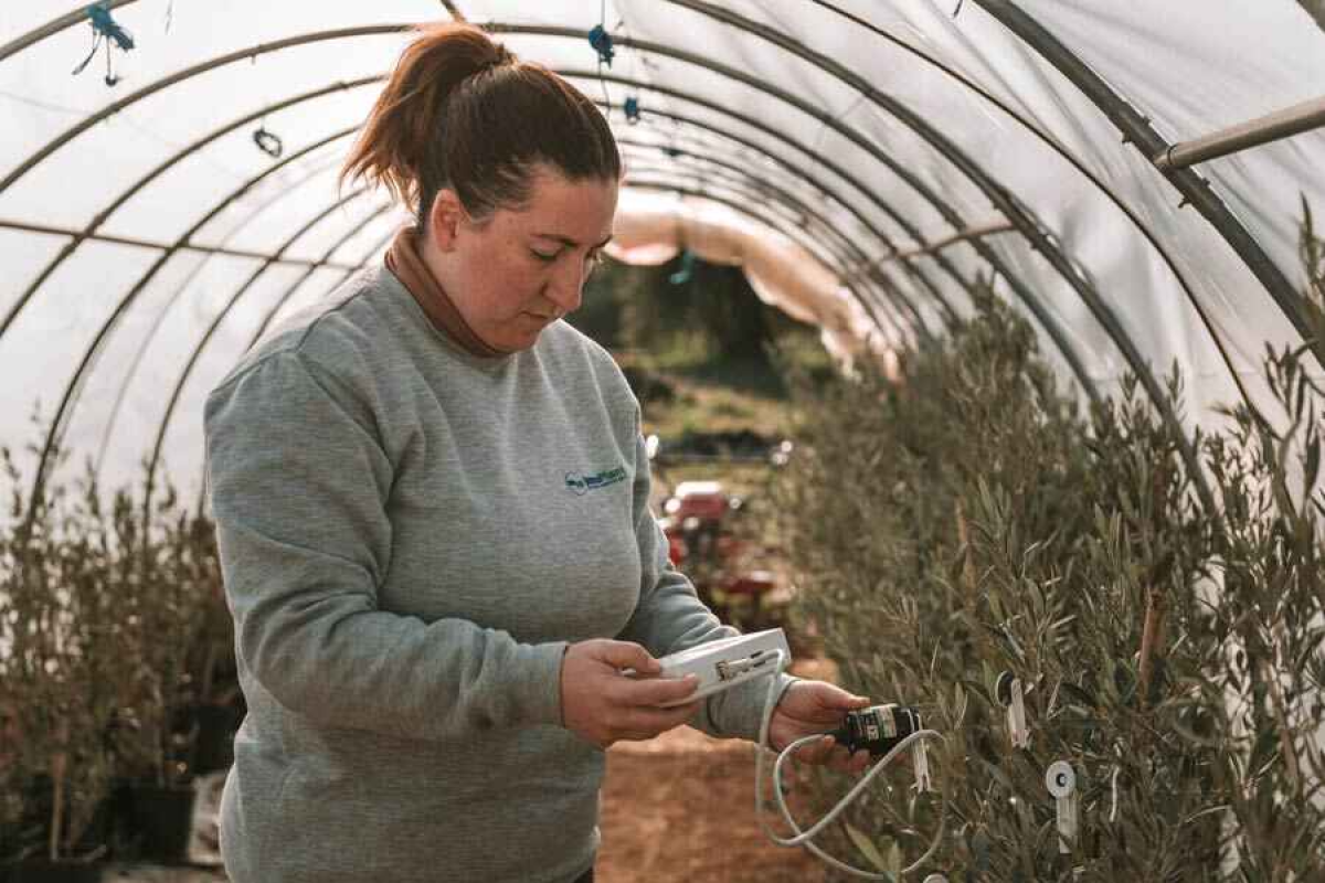 El Ministerio de Agricultura, Pesca y Alimentación reconoce con el premio a la innovación a Eva Sánchez, emprendedora LEADER del Arco Noreste de la Vega de Granada