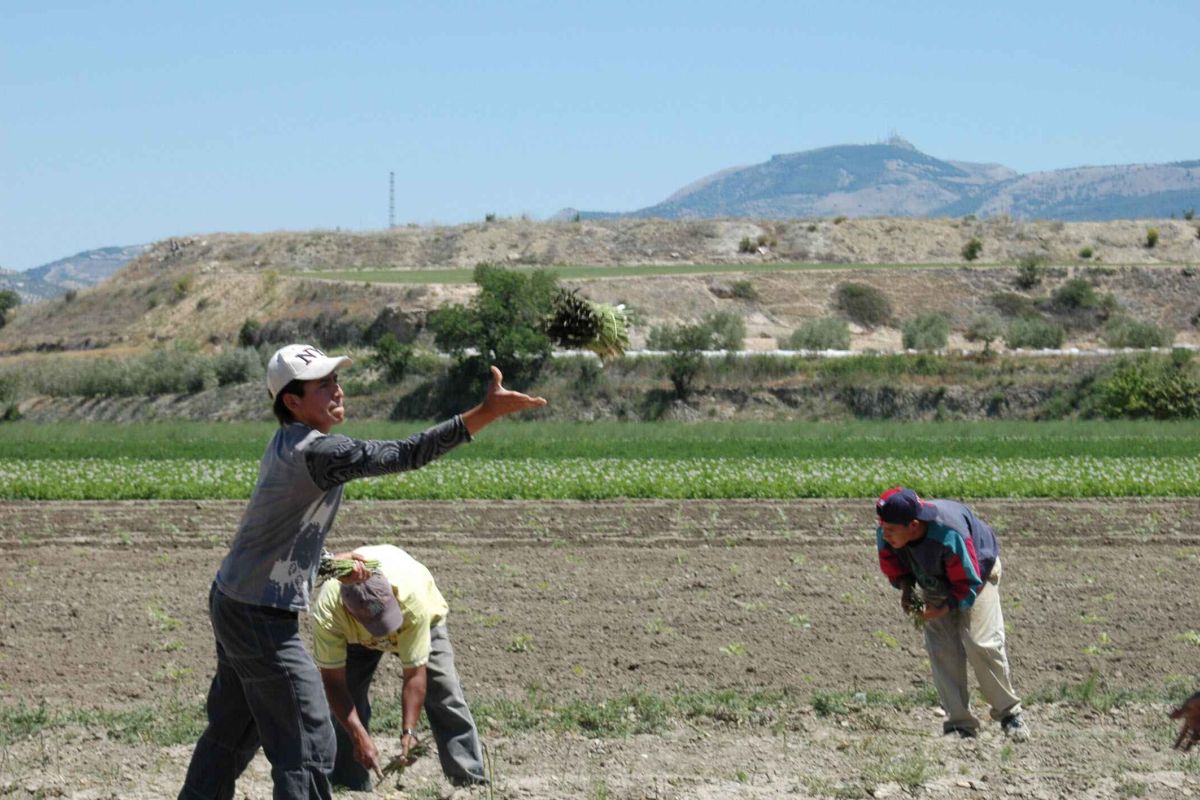 Las zonas rurales españolas buscan trabajadores extranjeros para impedir la despoblación