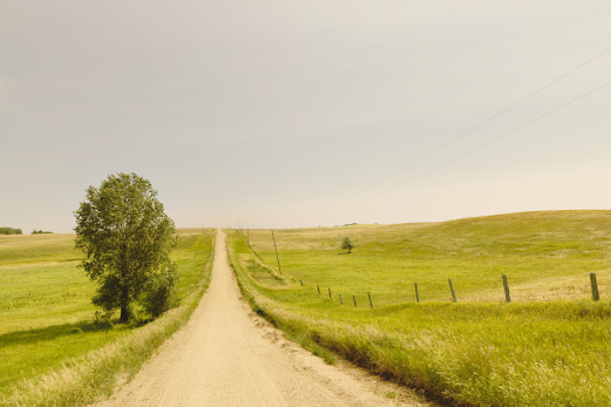 Lo que el desarrollo rural no ve: el potencial olvidado de la Educación Social en LEADER
