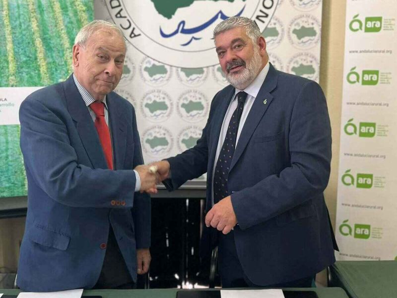 ae7437ae b10d 4d0c a852 9ca5887d21e4 0b7d63d2