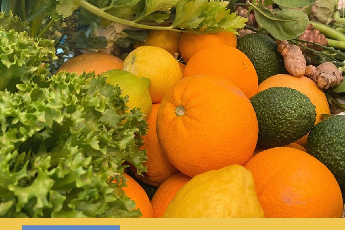 El GDR Valle del Guadalhorce participa en el proyecto “Sabor y Conciencia: Tu Plato, Tu Impacto”