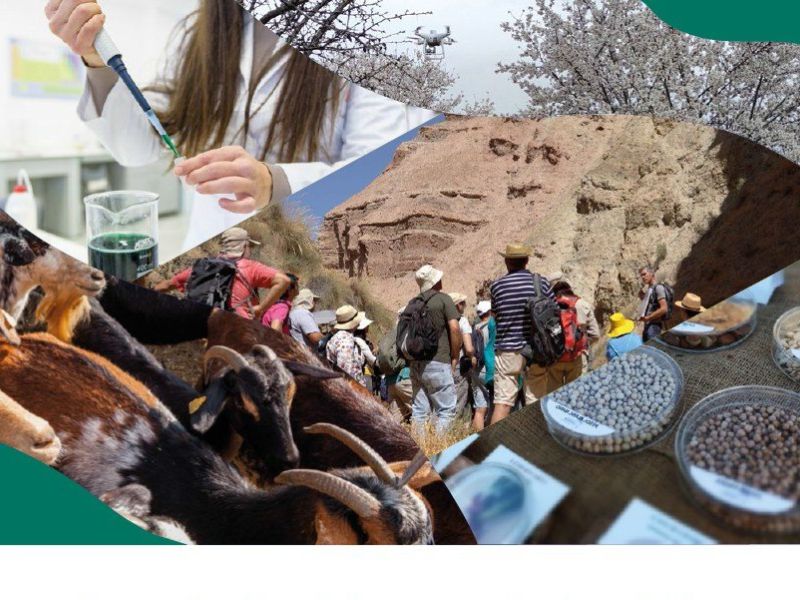 LEADER  y el cierre de los Programas de Desarrollo Rural 2014-2022: claves y novedades