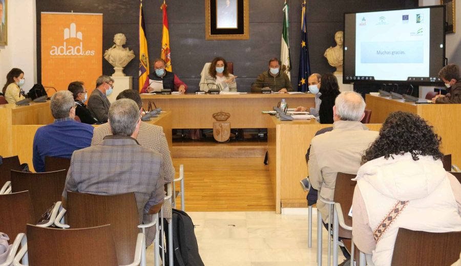 El GDR Aljarafe Doñana aprueba 431.000€ en ayudas a empresas y proyectos municipales