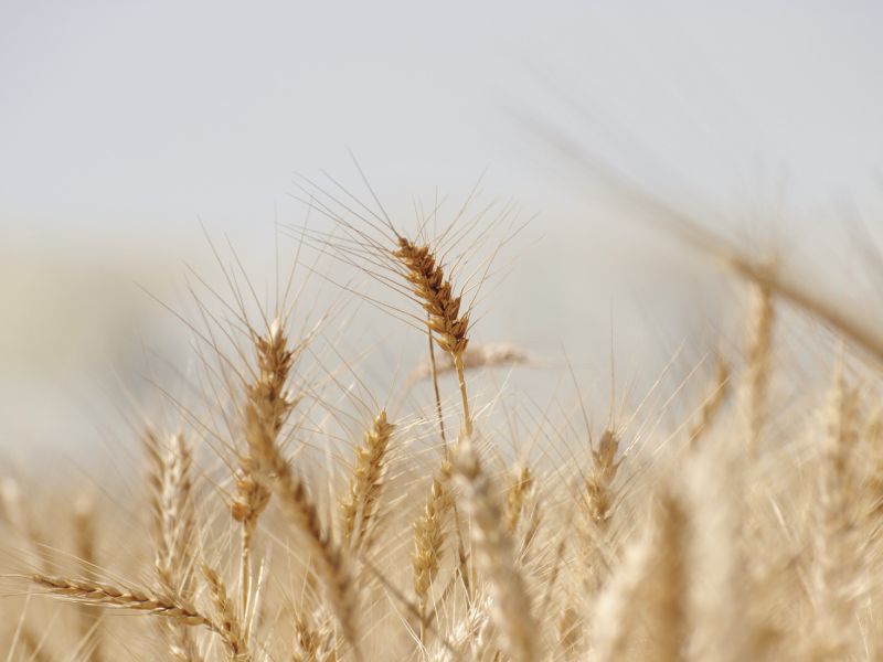 La Comisión Europea renueva el Máster Erasmus Mundus en Desarrollo Rural