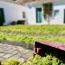 Netzero_Doñana: el sector vitivinícola, comprometido con la sostenibilidad ambiental y cuidado del territorio
