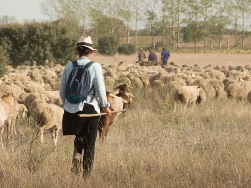 La esperanza del clima es rural y violeta