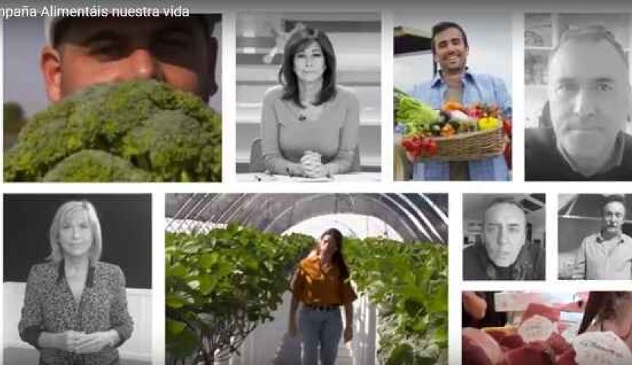 El Ministerio de Agricultura inicia la campaña #AlimentáisNuestraVida en apoyo de agricultores, ganaderos, pescadores y demás trabajadores del sector agroalimentario