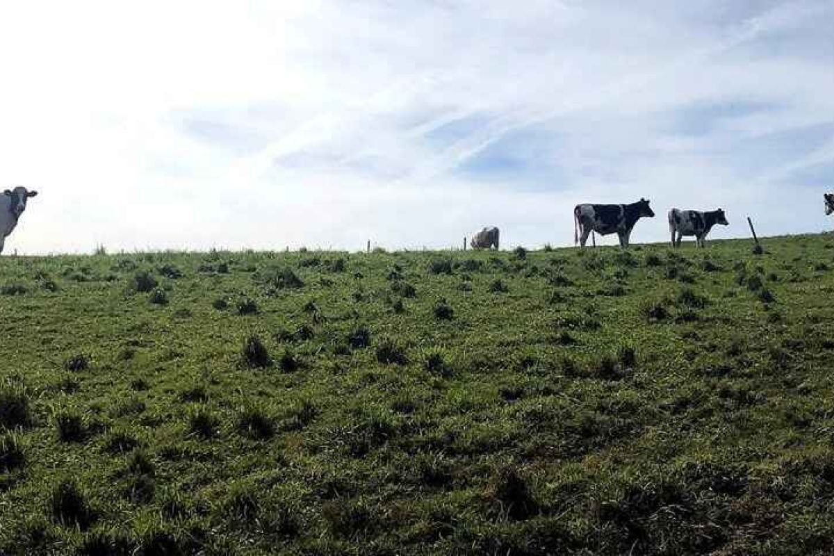 Cantabria, primera comunidad que modifica el Programa de Desarrollo Rural 2014-2020 para incorporar fondos del período de transición