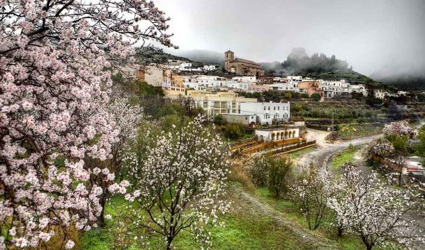 Grupo de Desarrollo Rural Filabres-Alhamilla