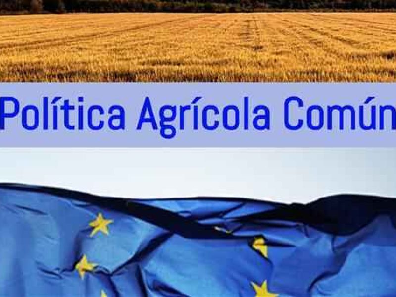 Planas pide alcanzar un acuerdo sobre la PAC en otoño para que los Estados puedan culminar el diseño de sus planes estratégicos