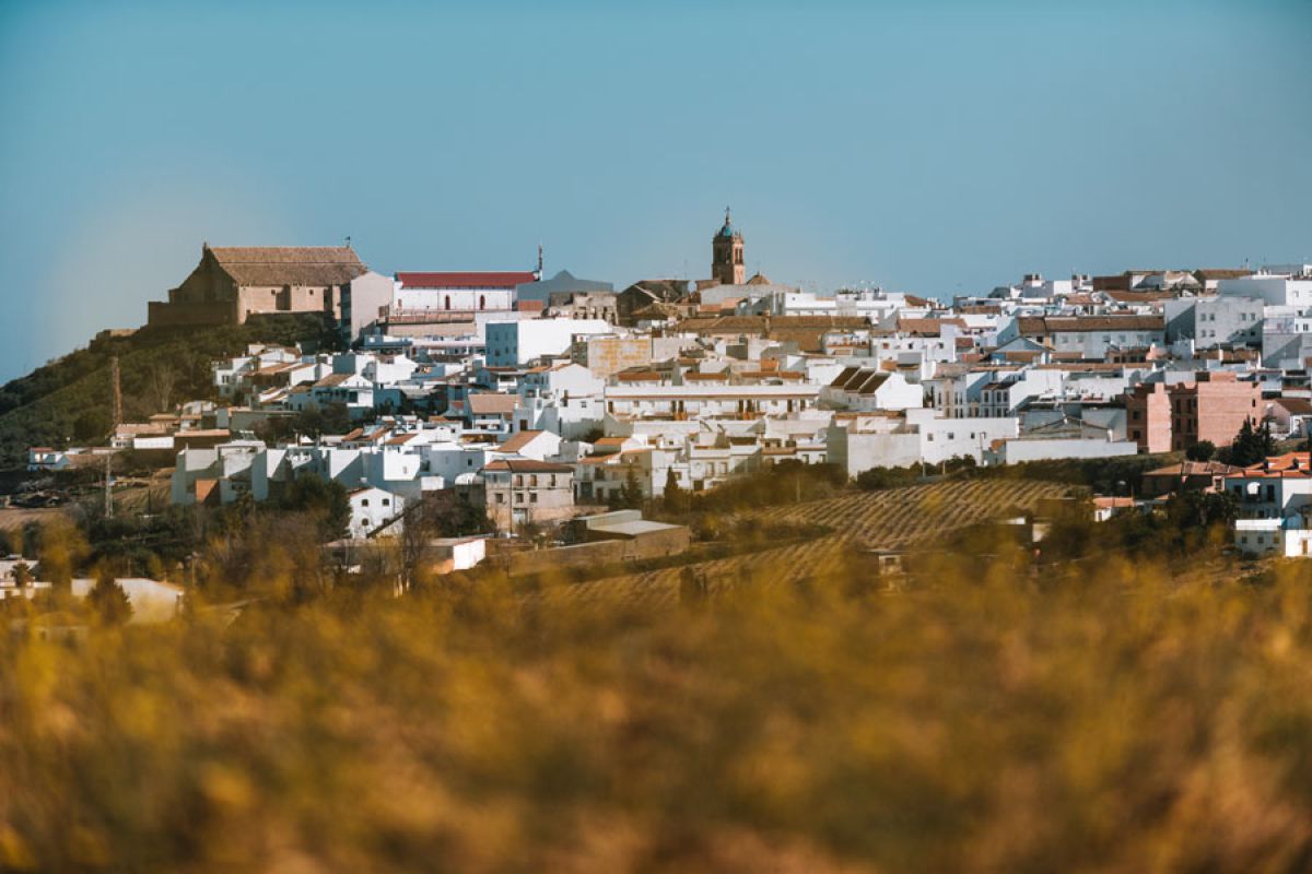 Andalucía, Castilla-León y Galicia, principales destinos de las ayudas PEBA 2020 para el Internet rural