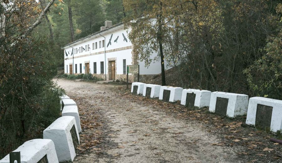 Yoga y meditación en las montañas: un retiro LEADER en Sierra Cazorla