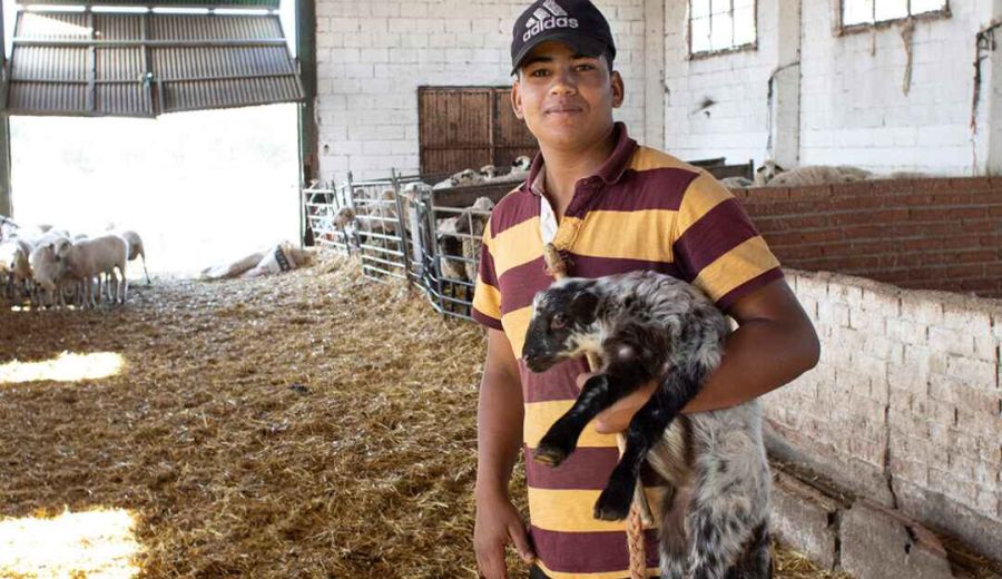 UPA Integra’: Arranca una iniciativa para “romper tópicos” sobre los inmigrantes en el medio rural