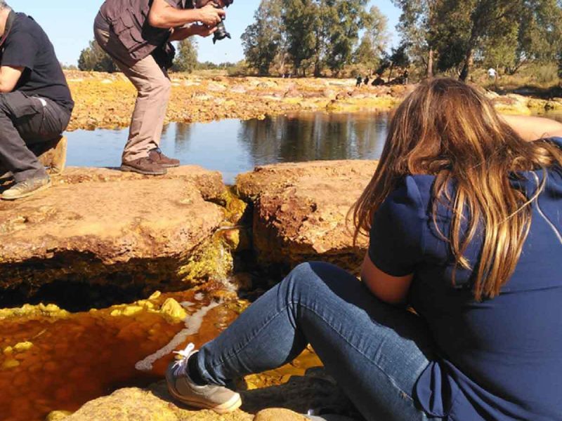 Los jóvenes y la toma de decisiones en el medio rural: una encuesta para conocer su participación en los Grupos LEADER