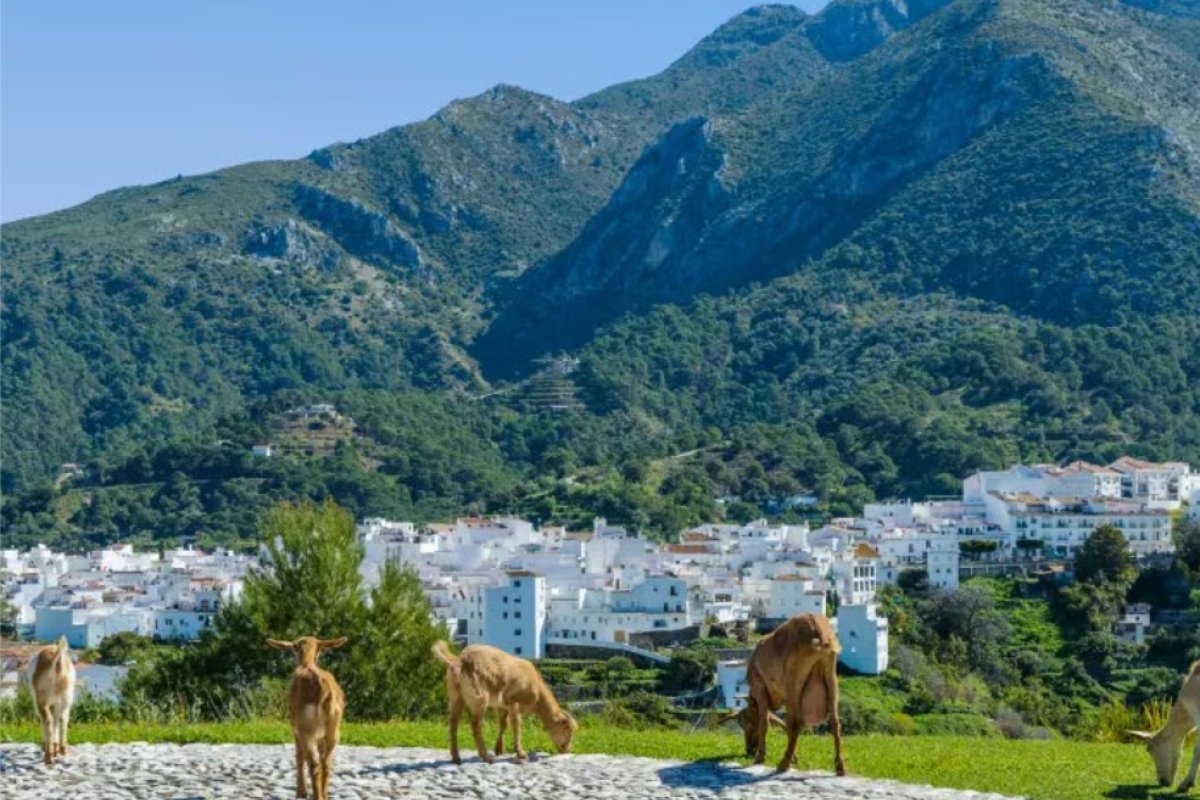 Arranca la ruta en bicicleta del MITECO que visibilizará proyectos de innovación y transformación territorial con parada en Andalucía