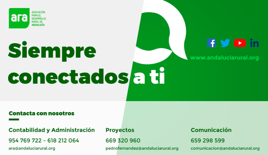 Teletrabajo equipo técnico de ARA