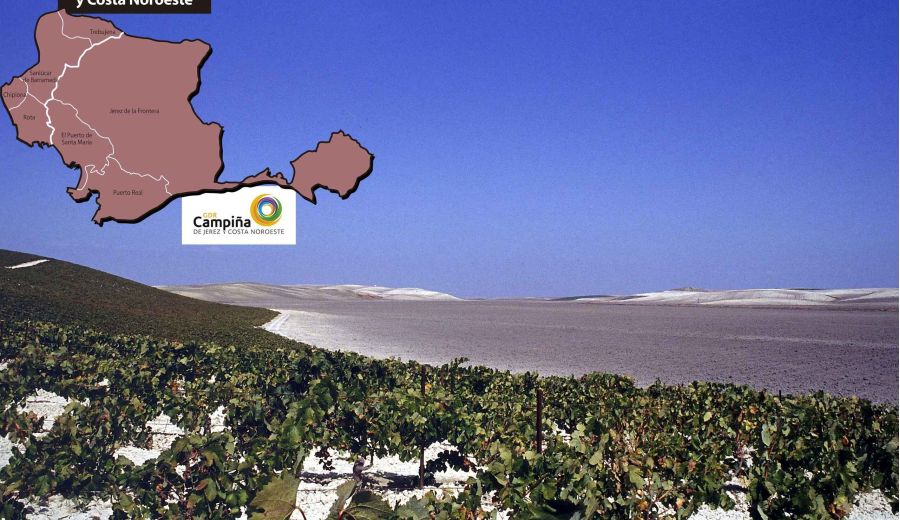 El GDR Campiña de Jerez y Costa Noroeste apoya más de un centenar de proyectos por valor de más de 6M€