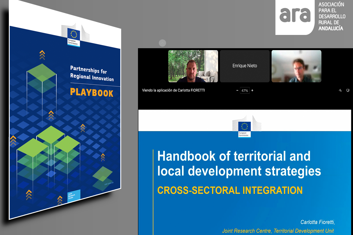 ARA participa en la validación del Manual de las Estrategias Integradas de Desarrollo Territorial y Local del JRC de la Comisión Europea