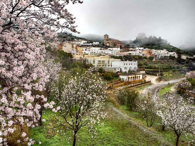 Agricultura inicia la resolución de ayudas para las zonas rurales con la luz verde a 92 expedientes que suman 6,5 millones