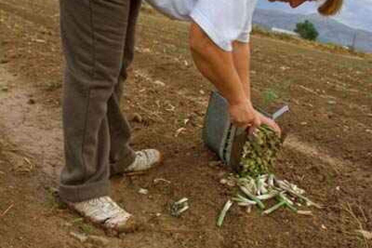 Las “millennials” quieren ser agricultoras. Se incrementa en más de 7.000 el número de mujeres al frente de una explotación agraria