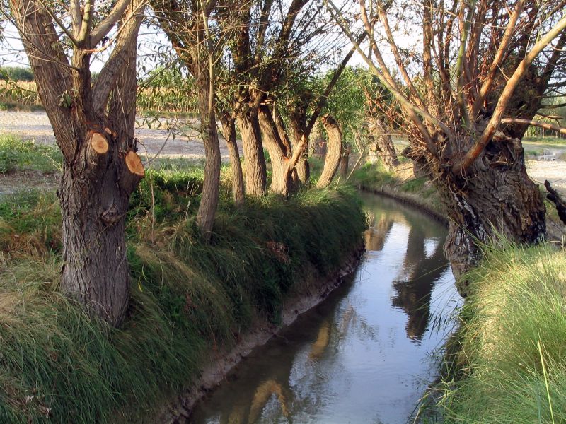 El GDR Altiplano de Granada crea la figura del “Contrato de Río” para la gestión sostenible del agua