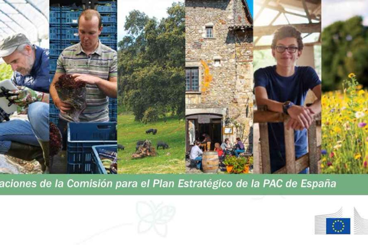 Recomendaciones de la Comisión para el Plan estratégico de la PAC de España