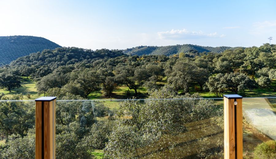 Andalucía adelanta el borrador de la Orden de ayudas LEADER 2023-2027 previo a su publicación en BOJA